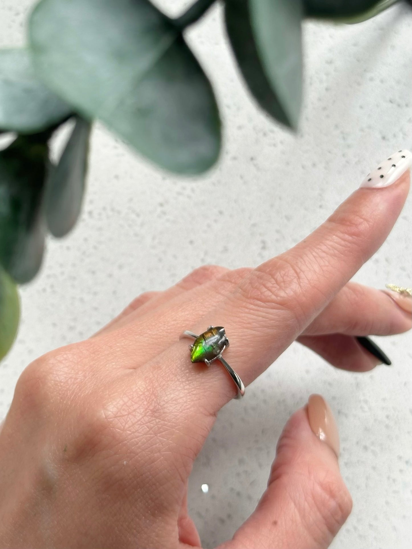 Ammolite Irregular shaped Adjustable Sterling Silver Ring
