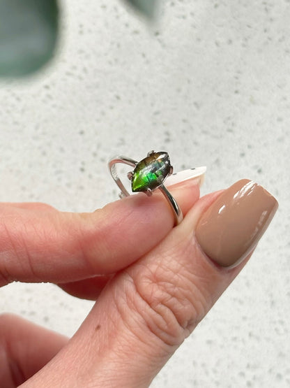 Ammolite Irregular shaped Adjustable Sterling Silver Ring