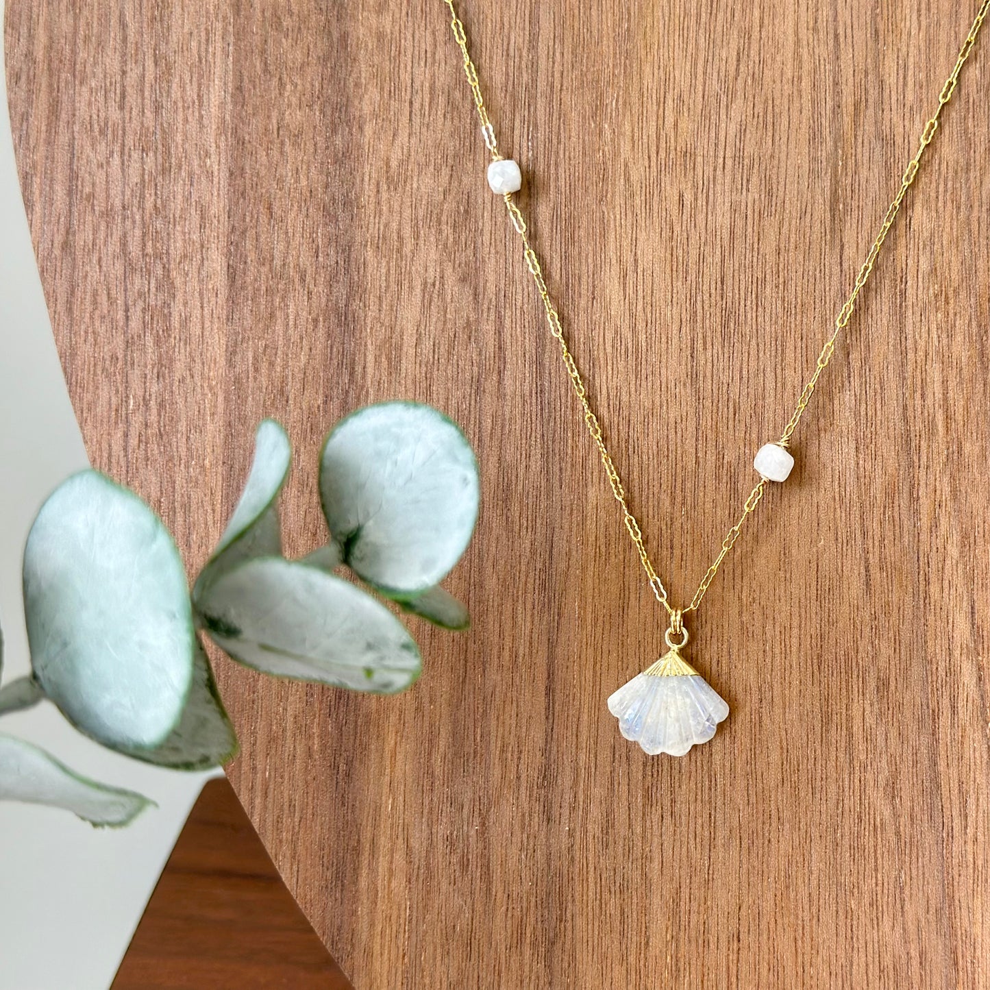 Moonstone Shell 14k Gold-filled Necklace